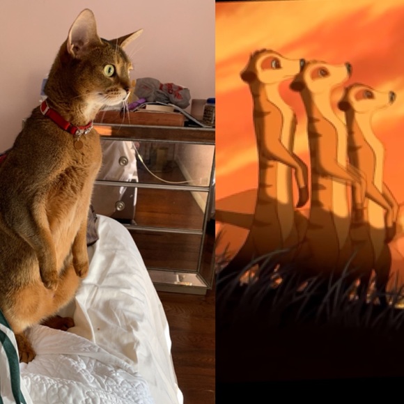 Meet your Posher, Mariana - Picture 1 of 2